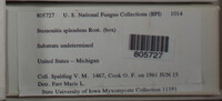 Image Associated With the Occurence